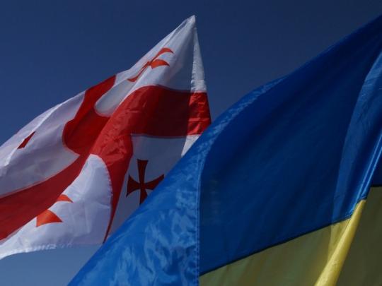 Грузия лишит гражданства всех соотечественников, занимающих посты в украинской власти