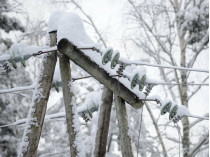 В Украине обесточен 81 населенный пункт из-за снегопада