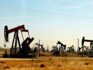 Нефть может упасть до 16 долларов за баррель - экс-министр финансов России