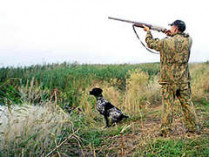 Сегодня в украине открывается сезон охоты на пернатую дичь