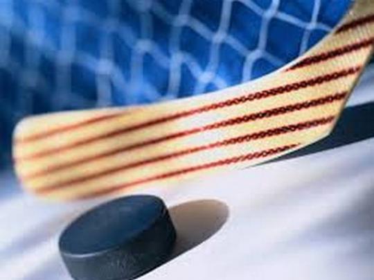 В чемпионате страны по хоккею донецкий «Донбасс» разгромил «Кременчуг» 