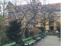 Цветущая вишня в Берлине