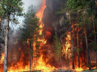 В Канаде из-за лесных пожаров эвакуируют целый город (видео)