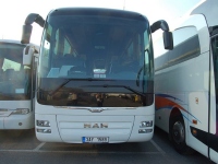 международный автобус