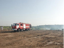 В Николаеве на стихийной свалке произошел масштабный пожар (фото)