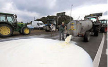 Вчера бельгийские и французские фермеры демонстративно вылили на землю три миллиона литров свежевыдоенного молока