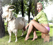 Гламурной блондинке, которая научится доить коров, кормить свиней и убирать навоз, выдадут миллион гривен