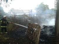 Сжигая сухую траву, в селе на Николаевщине сожгли три дома, три машины и два мотоцикла (фото)
