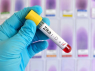 МИД Украины предупреждает: на территории Малайзии растет количество заражений вирусом Зика