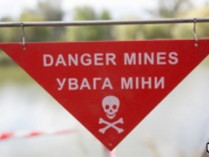 Украина вошла в пятерку стран, где за прошлый год зафиксировано больше всего жертв от взрывов мин