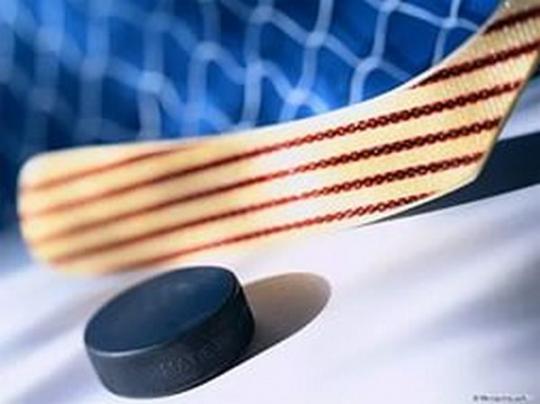 «Донбасс» вернул себе лидерство в национальном хоккейном чемпионате