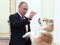 Путин с собакой