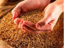 экспорт пшеницы
