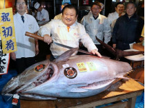 В Японии продали на аукционе огромного тунца за 636 тысяч долларов 