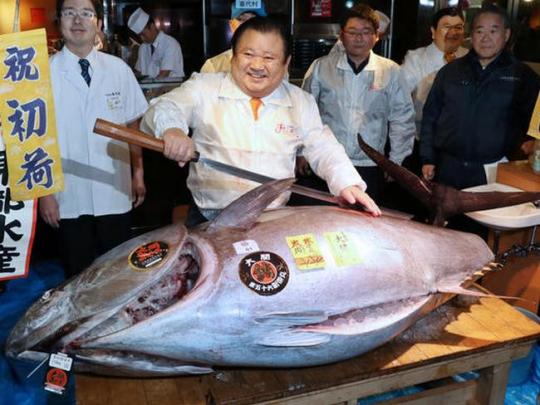 В Японии продали на аукционе огромного тунца за 636 тысяч долларов 