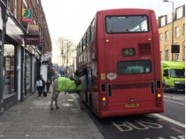 Лошадь заходит в автобус