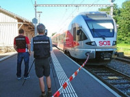 Женщина, пострадавшая в результате нападения на поезд в Швейцарии, скончалась (фото)