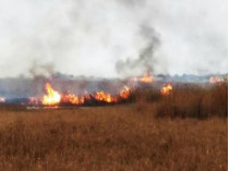 На Одесчине браконьеры для «выкуривания зверей» устроили пожар в Национальном парке «Тузловские лиманы»