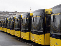 киевские автобусы