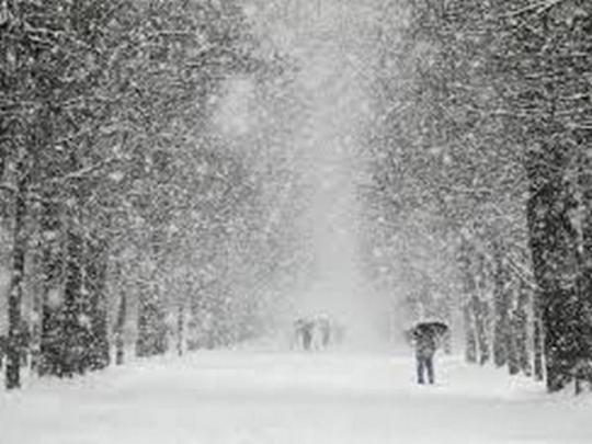 Снег в Киеве будет идти весь день&nbsp;— Гидрометцентр