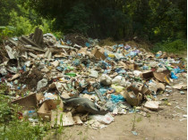 Рада в пять раз увеличила штрафы за мусор в лесу