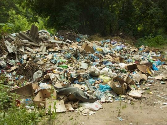 Рада в пять раз увеличила штрафы за мусор в лесу