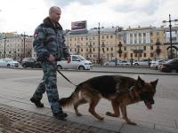 Полицейский с собакой