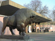 Киевский зоопарк откроет летний сезон 29 апреля
