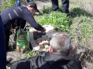 На кладбище в Одесской области нашли тайник с оружием (фото)