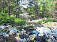 Благодаря электронному сервису Минприроды в Украине обнаружено более тысячи свалок мусора