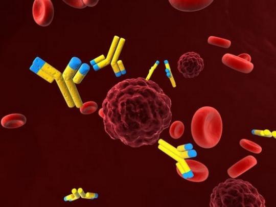В США ученые открыли антитело, заставляющее иммунитет убивать рак