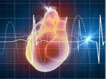 Американские ученые разработали кардиостимулятор, не нуждающийся в батарейках и проводах