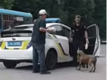 Во Львове полицейский стрелял в собаку (видео)