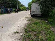 На Житомирщине пьяный предприниматель сбил на обочине двух малышей, один ребенок погиб (фото)