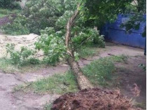 На Львовщине из-за урагана обесточены населенные пункты, сорваны крыши с домов, повреждены машины