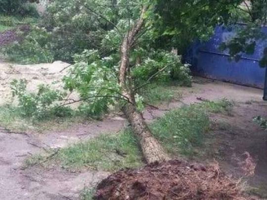 На Львовщине из-за урагана обесточены населенные пункты, сорваны крыши с домов, повреждены машины