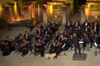Флегматичная собака, которая забрела на сцену во время выступления оркестра, стала звездой шоу и соцсетей 