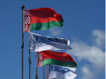 ОБСЕ обсудит российскую агрессию против Украины на своей ассамблее