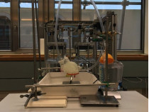 Швейцарские ученые напечатали на 3D-принтере искусственное сердце (видео)