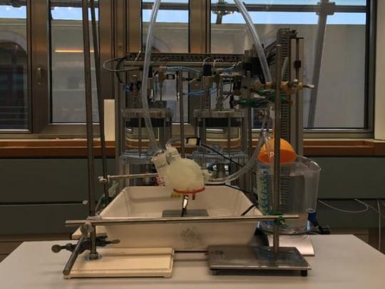 Швейцарские ученые напечатали на 3D-принтере искусственное сердце (видео)