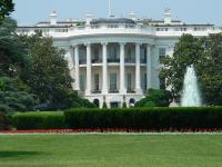 Конгресс США заинтересовался вмешательством Украины в американские выборы – СМИ 