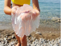 Пережив атаку саранчи, Крым страдает от нашествия медуз (фото)