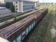 Правоохранители Донецкой области предотвратили вывоз на временно неподконтрольную территорию 40 вагонов древесины