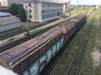Правоохранители Донецкой области предотвратили вывоз на временно неподконтрольную территорию 40 вагонов древесины