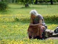 На Ровенщине четвертые сутки в лесу ищут пропавшую пенсионерку (фото)
