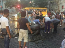 В центре Одессы не выдержала жары лошадь, возившая в карете туристов (фото)