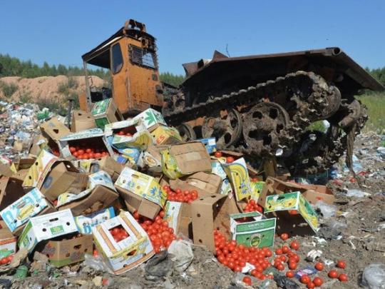 В России похвастались: за два года уничтожили 17 тыс. тонн продуктов