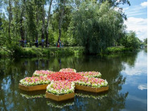 В киевском парке «Победа» появилась необычная цветочная клумба на воде 