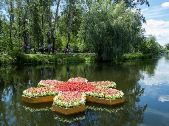 В киевском парке «Победа» появилась необычная цветочная клумба на воде 