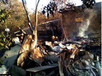 В Одесской области на территории дачного кооператива сгорели восемь домов (фото)